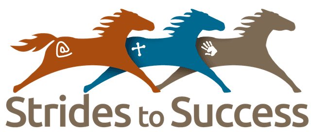 Strides to Success Logo